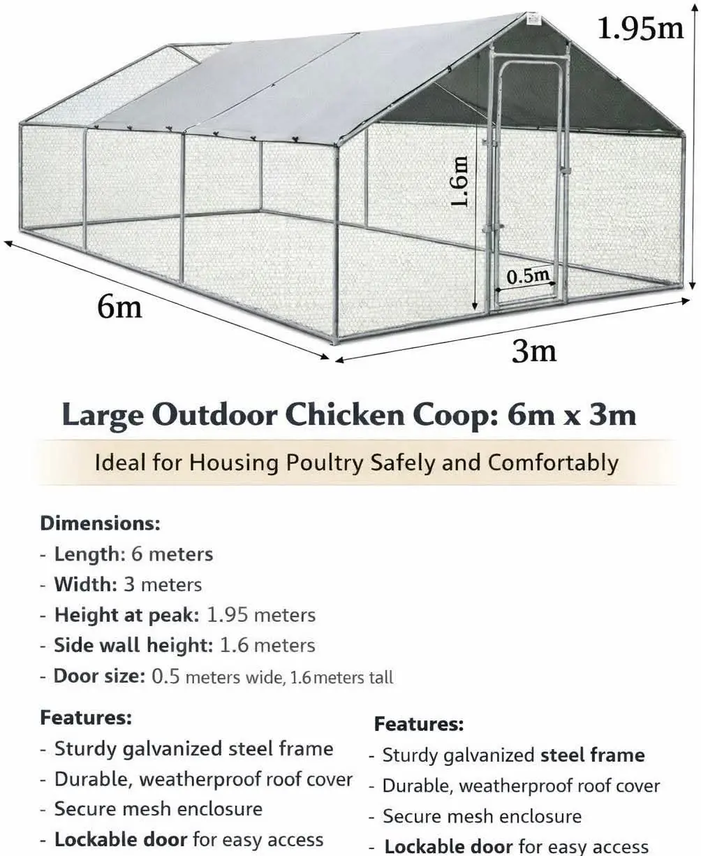 Large outdoor chicken coop concept